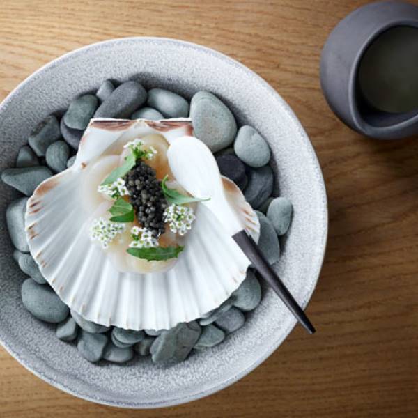 kilden-0208-kammusling